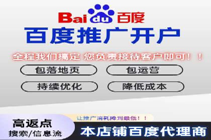 百度广告推广案例：拓展市场份额